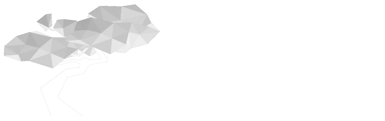 Our Wealth Planning & Management Services | Bonsai Financial